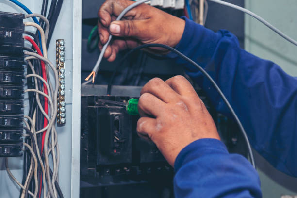 Best Local Electrician Companies  in Ware Shoals, SC